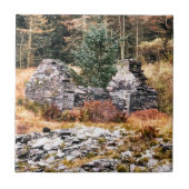 WELSH COTTAGES TEGELTJE (Voorkant)