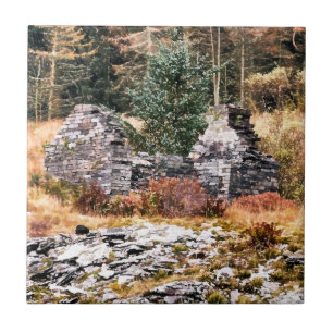 WELSH COTTAGES TEGELTJE