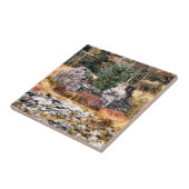 WELSH COTTAGES TEGELTJE (Zijkant)