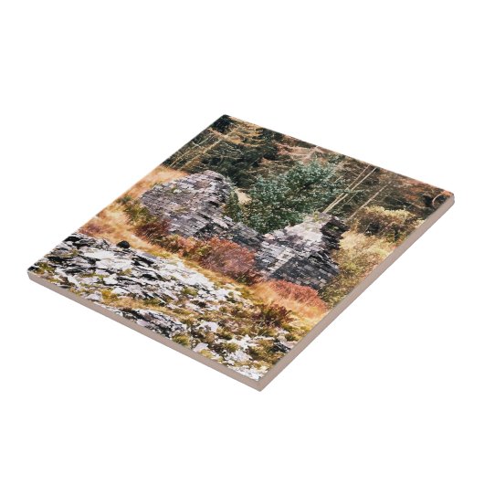 WELSH COTTAGES TEGELTJE (Zijkant)