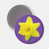 Welsh Daffodil - II Magneet (Voorkant / Achterkant)