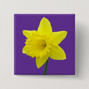 Welsh Daffodil - II - Square Vierkante Button 5,1 Cm