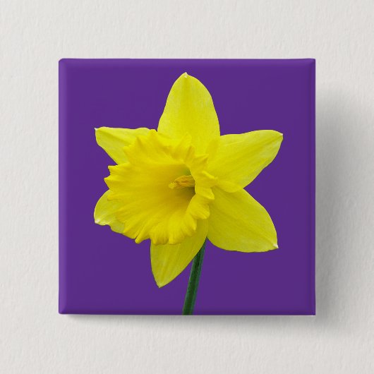 Welsh Daffodil - II - Square Vierkante Button 5,1 Cm (Voorkant)