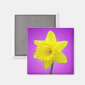 Welsh Daffodil - III Magneet (Voorkant / Achterkant)