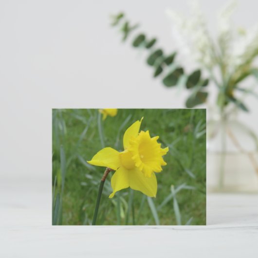 Welsh Daffodil in Bloom Briefkaart (Staand voorkant)