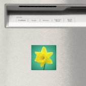 Welsh Daffodil - IV Magneet (Insitu (Vaatwasser))