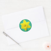 Welsh Daffodil - IV Ronde Sticker (Envelop)