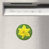 Welsh Daffodil Magneet (Insitu (Vaatwasser))