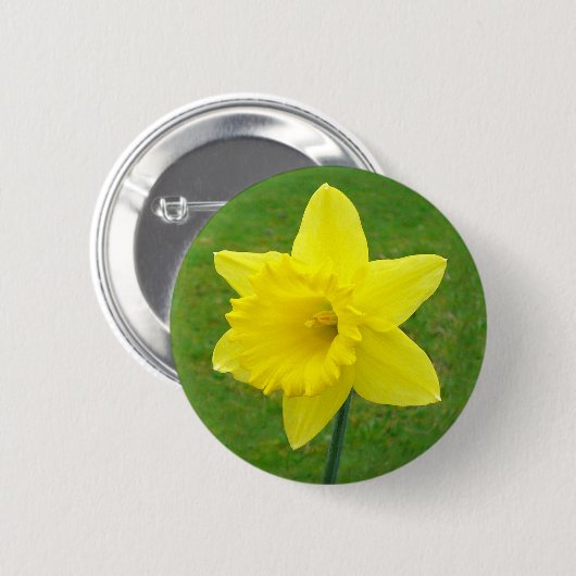 Welsh Daffodil Ronde Button 5,7 Cm (Voorkant /achterkant)