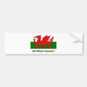 welsh dragon bumpersticker
