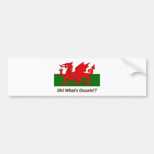welsh dragon bumpersticker (Voorkant)