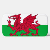 Welsh dragon flag Case-Mate iPhone case (Achterkant (horizontaal))