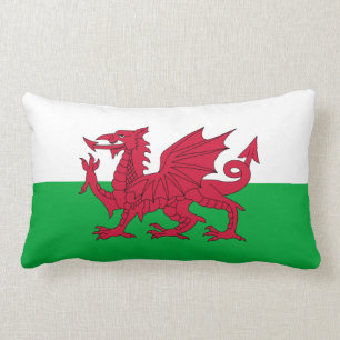 Welsh dragon flag kussen
