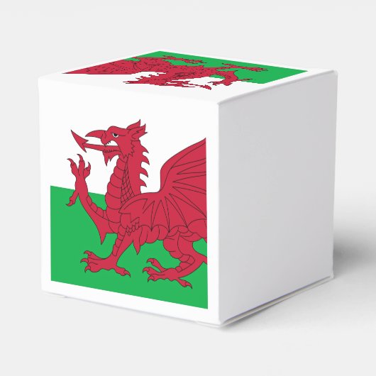 Welsh Dragon ~ Flag of Wales Bedankdoosjes (Achterkant)