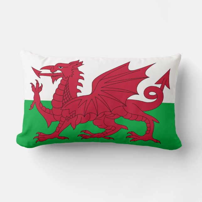 Welsh Dragon ~ Flag of Wales Kussen (Voorkant)