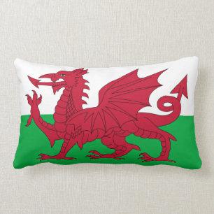Welsh Dragon ~ Flag of Wales Kussen