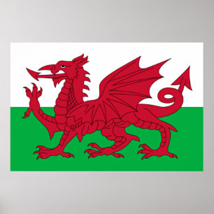 Welsh Dragon ~ Flag of Wales Poster
