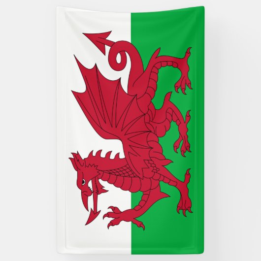 Welsh Dragon ~ Flag of Wales Spandoek (Verticaal)