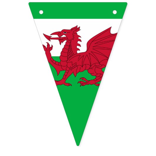 Welsh Dragon ~ Flag of Wales Vlaggetjes (Tweede vlag)