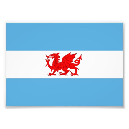 Welsh dragon Flag Patagonia Colony Foto Afdruk (Voorkant)