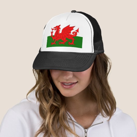 Welsh Dragon Flag Trucker Pet (In situ)