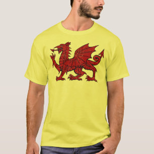 Welsh Dragon Grunge - Mannen Eco T-Shirt