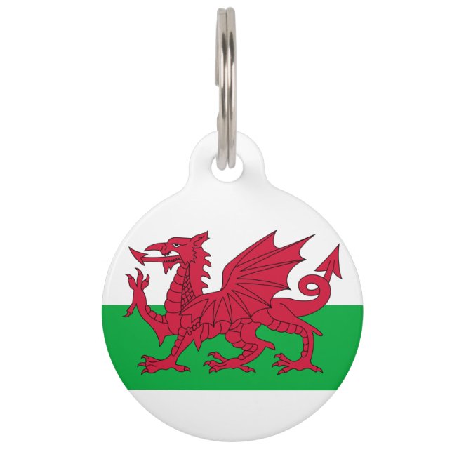 Welsh Dragon Huisdierpenning (Voorkant)