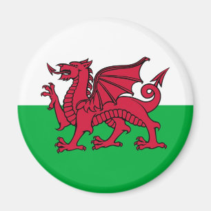 Welsh Dragon Magneet
