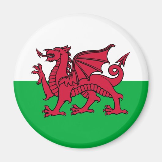 Welsh Dragon Magneet (Voorkant)