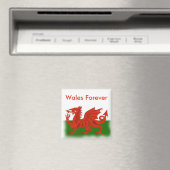 Welsh Dragon Magnet (Insitu (Vaatwasser))