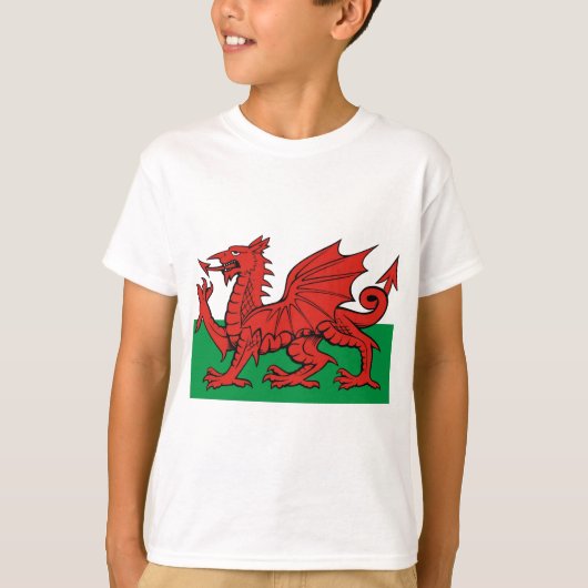 Welsh flag, draag het met trots t-shirt (Voorkant)