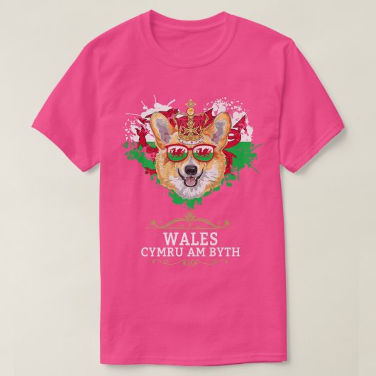 Welsh Flag Idea for Kids and Welsh Epaters with We T-shirt (Design voorkant)