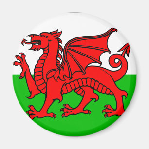 Welsh flag magneet