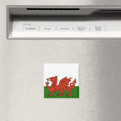 Welsh Flag Magneet (Insitu (Vaatwasser))