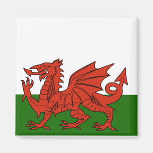 Welsh Flag Magneet