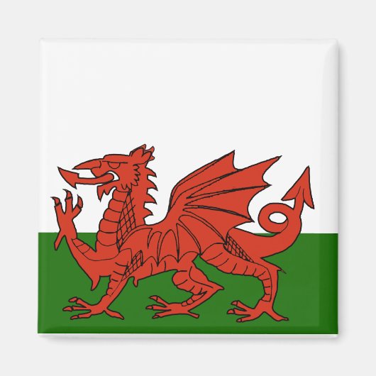 Welsh Flag Magneet (Voorkant)