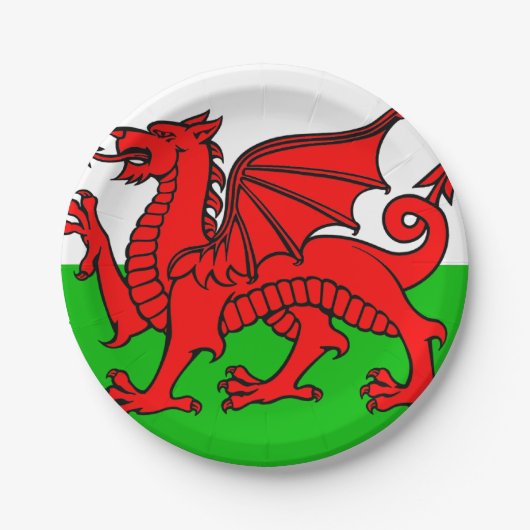 Welsh flag papieren bordje (Voorkant)