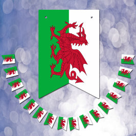 Welsh Flag & Party Wales Banners / Cymru Weddings