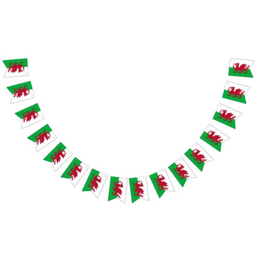 Welsh Flag & Party Wales Banners / Cymru Weddings (Alle)