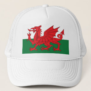 Welsh Flag Pet