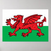 Welsh Flag Poster (Voorkant)