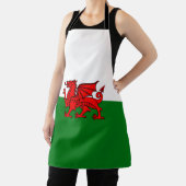 Welsh flag schort (Insitu)