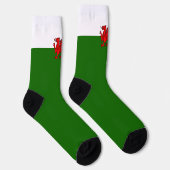 Welsh flag sokken (Rechts)