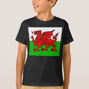 Welsh flag t-shirt