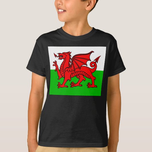 Welsh flag t-shirt (Voorkant)