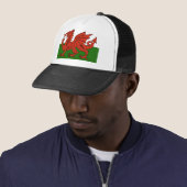 Welsh Flag Trucker Pet (In situ)