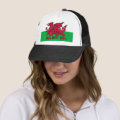 Welsh flag trucker pet (In situ)