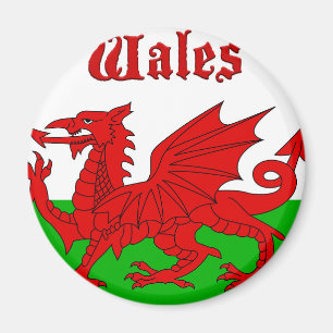 Welsh Flag Wales Magneet
