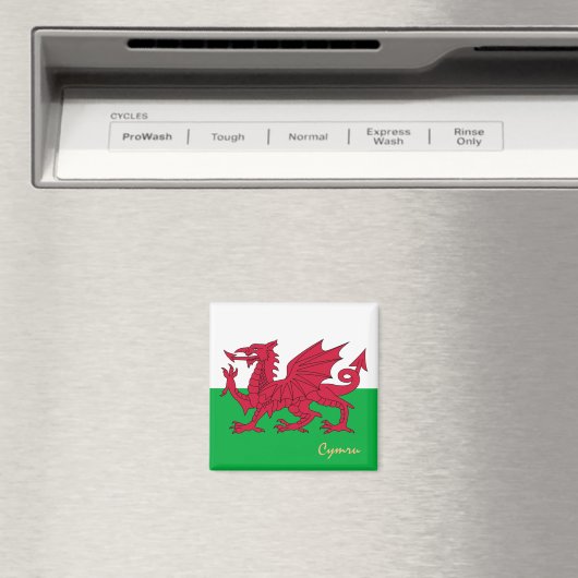 Welsh Flag & Wales: reizen, vakantie, sport/Cymru Magneet (Insitu (Vaatwasser))