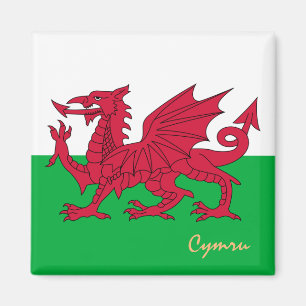 Welsh Flag & Wales: reizen, vakantie, sport/Cymru Magneet